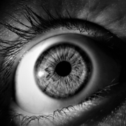 eye, iris, pupil, vision, eyeball, eyelashes, view, see, black, white, eye, eye, eye, eye, eye