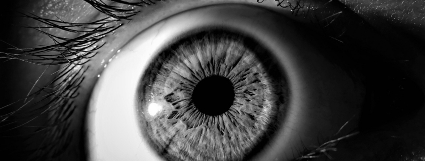 eye, iris, pupil, vision, eyeball, eyelashes, view, see, black, white, eye, eye, eye, eye, eye