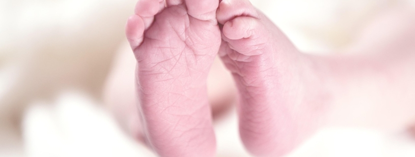 baby, feet, toes, sole, small, newborn, child, small feet, newborn baby, newborn child, baby feet, baby, baby, baby, baby, baby, feet, newborn