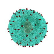 t-helper cell, cell, immune system, blood cells, virus, defense, helper cell, t-cell, disease, flu, to cough, ill, influenza, hiv, cell, cell, immune system, blood cells, hiv, hiv, hiv, hiv, hiv