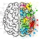 brain, mind, psychology, idea, drawing, split personality, thought, chaos, doubt, open mind, gray matter, insecurity, anxiety, ideas, comparison, fantasy, creativity, head, thoughts, concentration, creativeness, color, mathematics, logic, calculation, brain, brain, brain, brain, brain, mind