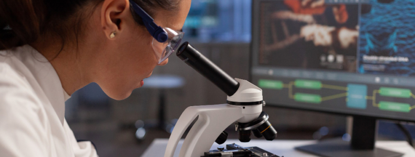 macrofagi, una ricercatrice li studia al microscopio