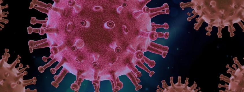 virus, covid, science, covid19, virus, covid, covid, covid, covid, covid