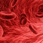 cells, red, medical, medicine, anatomy, health, human, biology, blood cells, artery, healthcare, microscopic, vein, care, flow, macro, plasma, circulatory, microbiology, risk, pathology, danger, science, bacteriology, hazard, microorganism, pathological, research, analysis, biotechnology, examination, organism, scientific, immune system, 3d, red health, red medical, red science, red research, red medicine, red human, red blood, red care, red healthcare