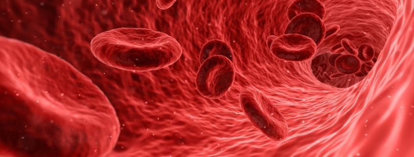 cells, red, medical, medicine, anatomy, health, human, biology, blood cells, artery, healthcare, microscopic, vein, care, flow, macro, plasma, circulatory, microbiology, risk, pathology, danger, science, bacteriology, hazard, microorganism, pathological, research, analysis, biotechnology, examination, organism, scientific, immune system, 3d, red health, red medical, red science, red research, red medicine, red human, red blood, red care, red healthcare