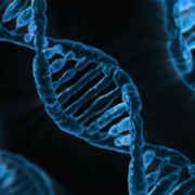 dna, biology, medicine, gene, microbiology, science, genetics, genetic material, laboratory, dna, dna, dna, dna, dna, biology, medicine, gene, science, genetics, laboratory