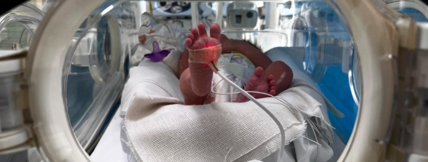 la terapia intensiva neonatale del monaldi