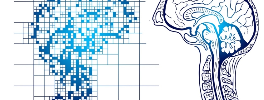 brain, memory, design, digital, representation, human head, think, dementia, alzheimer's, forgetfulness, brain, brain, brain, brain, brain, dementia, dementia, dementia