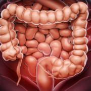 illustration of asse intestino-cervello: scopri come influisce sulla tua salute mentale