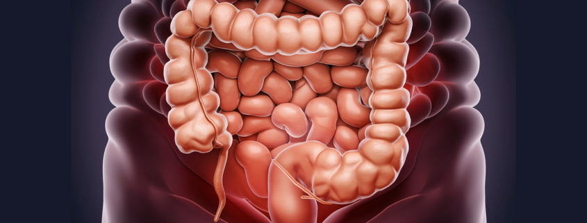 illustration of asse intestino-cervello: scopri come influisce sulla tua salute mentale