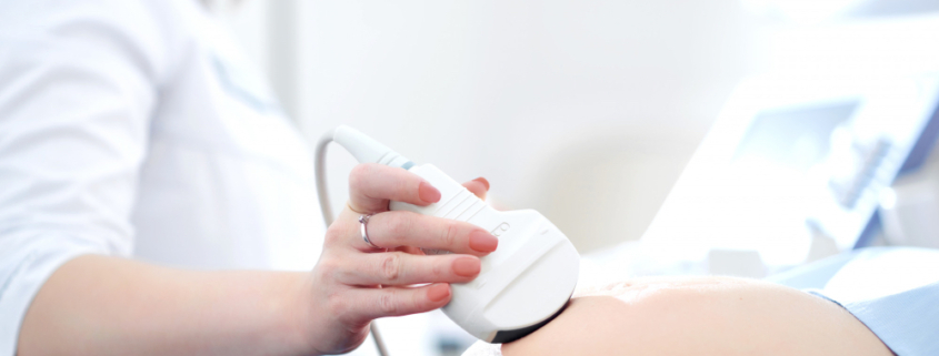 ecografia gravidanza