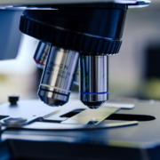 tubercolosi, batteri resistenti al microscopio