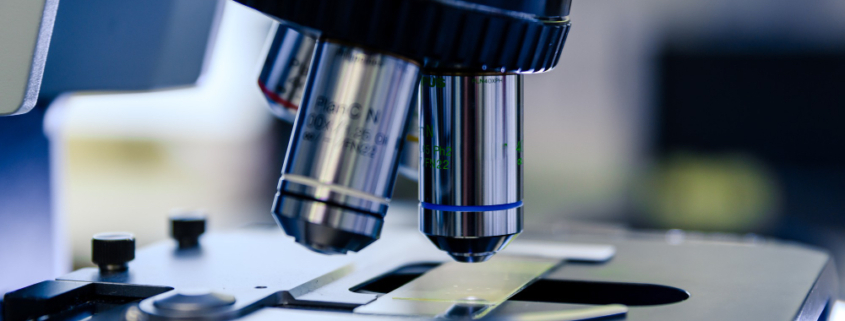 tubercolosi, batteri resistenti al microscopio