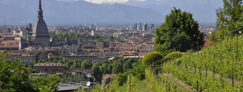 illustration of malattie renali torino: nuovi studi per diagnosi e cura avanzata