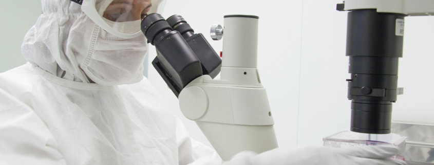 talassemia un ricercatore a lavoro
