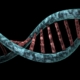 illustration of malattie rare: ia analizza il dna per diagnosi rapide