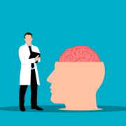illustration of nuova scoperta sul cervello rivela come la memoria si forma rapidamente