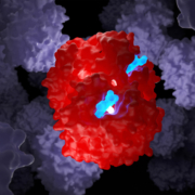 talassemia e anemia falciforme, una molecola di emoglobina in 3d