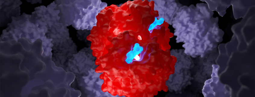 talassemia e anemia falciforme, una molecola di emoglobina in 3d