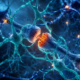 alzheimer, un'immagine che rappresenta le sinapsi cerebrali