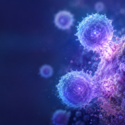cellule nk al microscopio