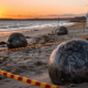 sfere misteriose sulle spiagge dell'australia