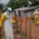 epidemia di ebola in congo