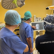epilessia un momento dell'intervento