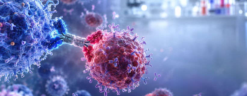 lupus, una terapia per "rieducare" il sistema immunitario 1 lupus, una nuova terapia