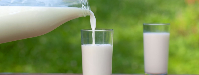 latte vegetale